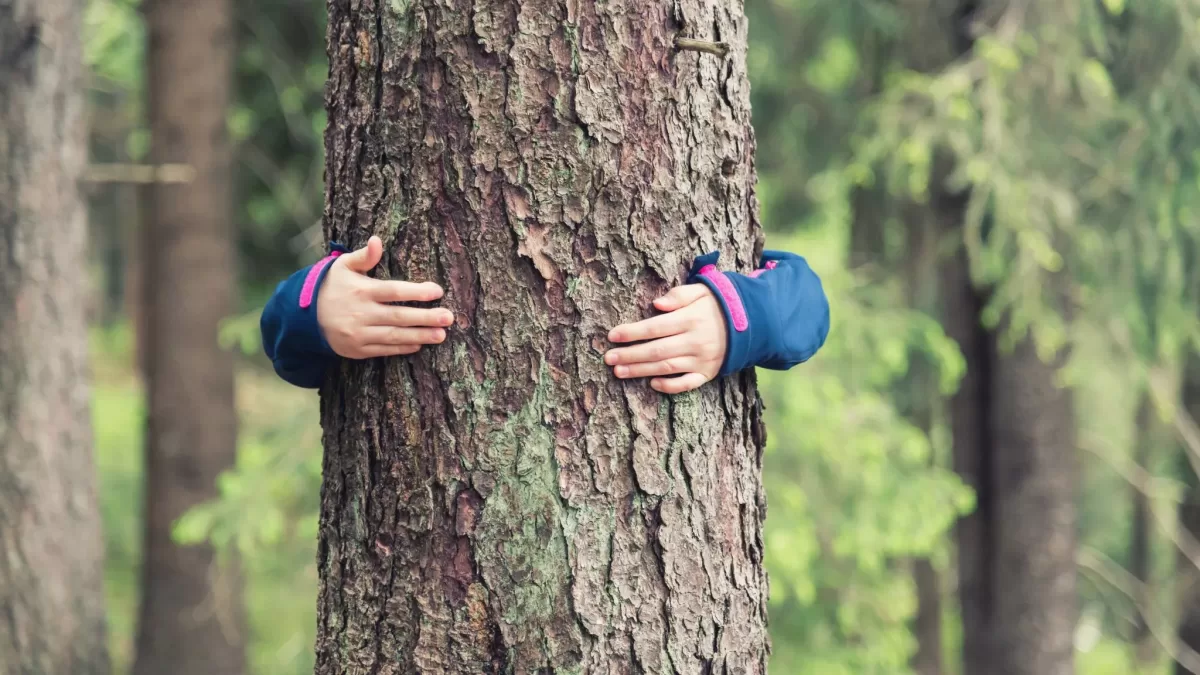 Hands around a tree trunk
